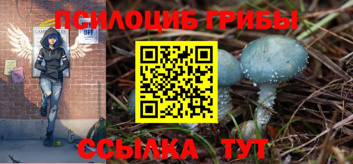 Галлюциногенные грибы мухоморы  как найти закладки  Вятские Поляны  Вход с VPN 