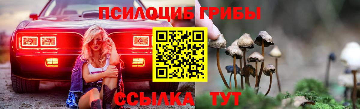 Галлюциногенные грибы Magic Shrooms Вятские Поляны